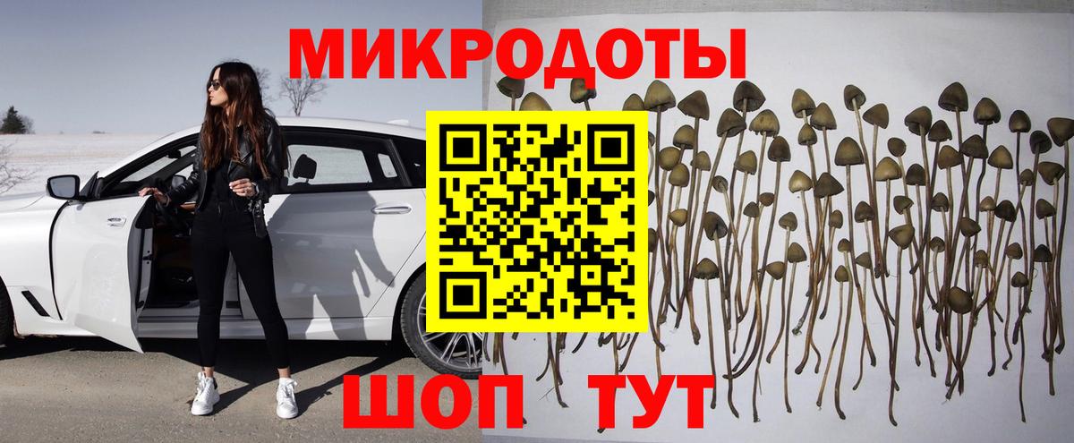 Псилоцибиновые грибы мицелий  Вход с VPN  Псилоцибиновые грибы Psilocybe  Котельники 