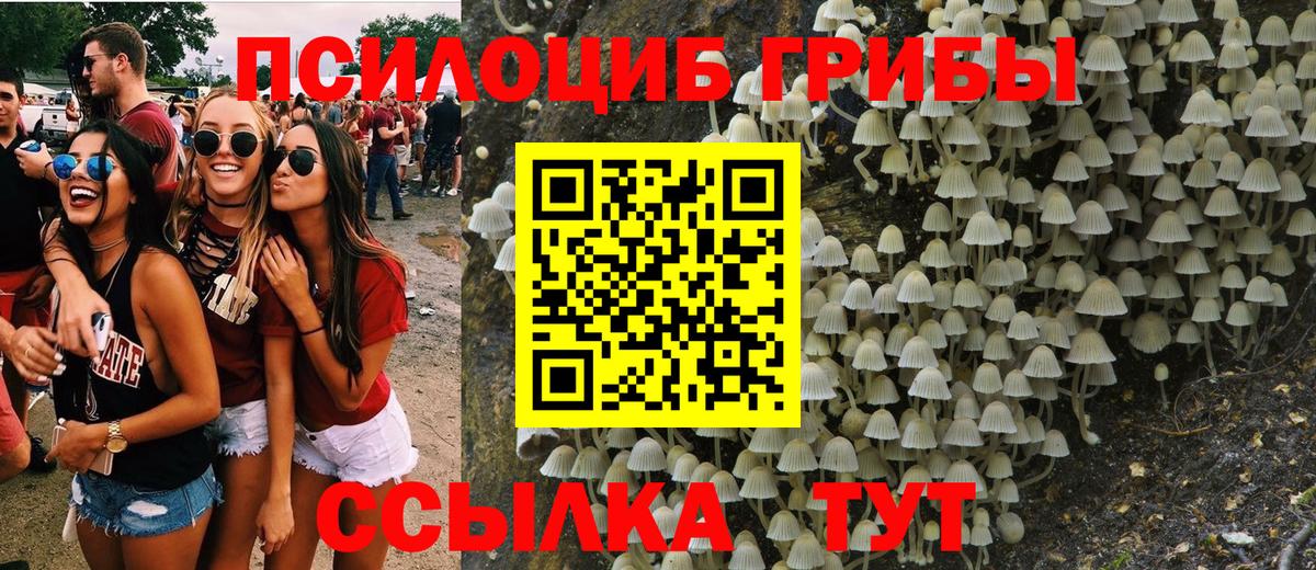 Псилоцибиновые грибы GOLDEN TEACHER Котельники